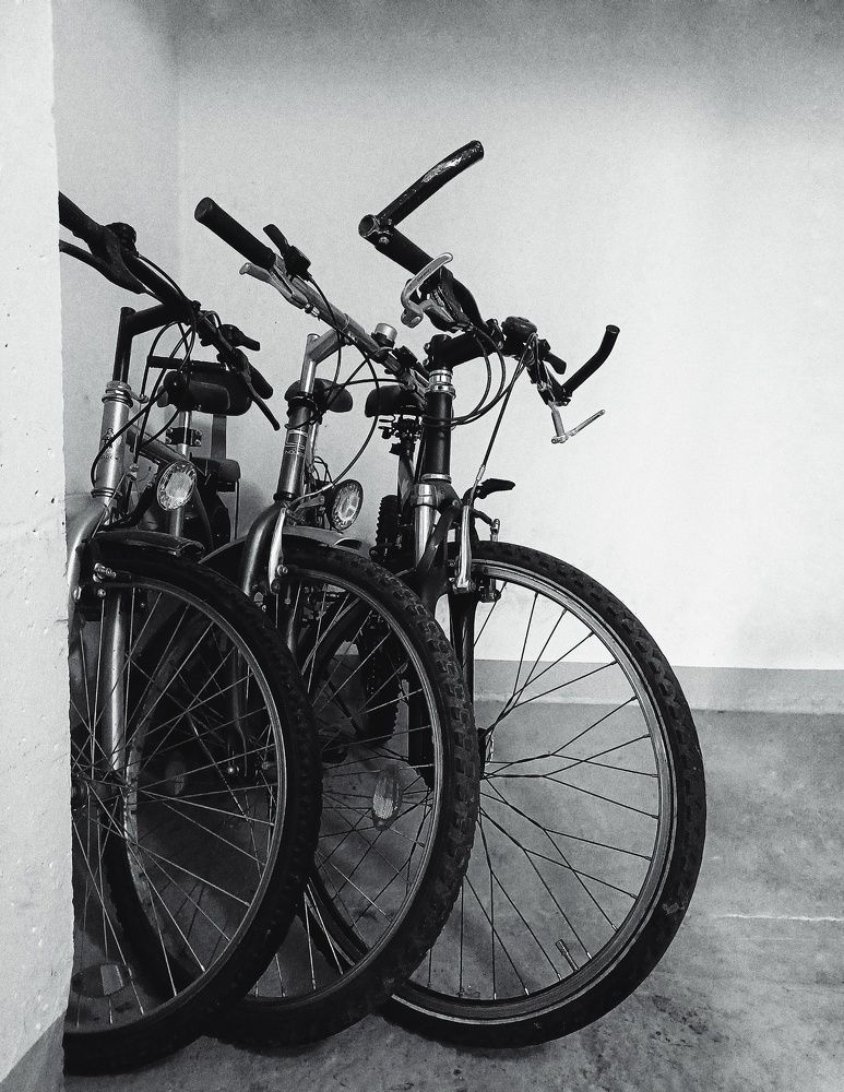 Photograph by Root Dariia