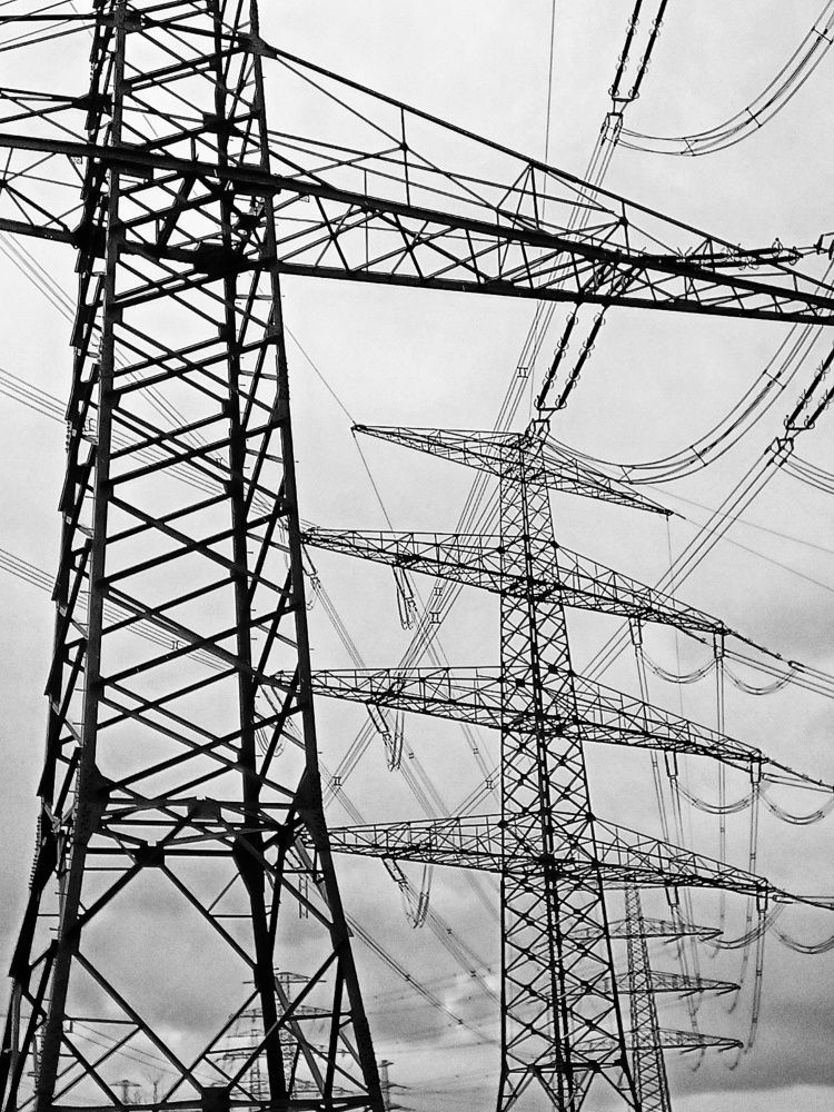 Photograph by Root Dariia