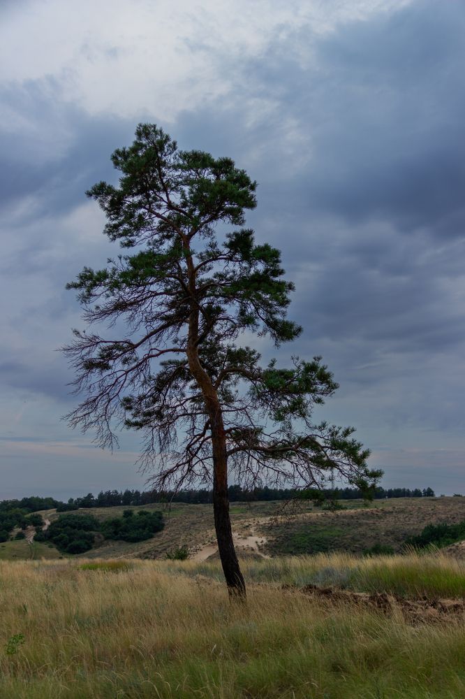 Photograph by Nastya Perekhodkina