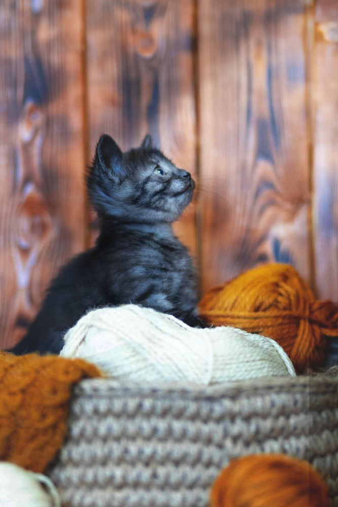 Photograph by Филатова Елена