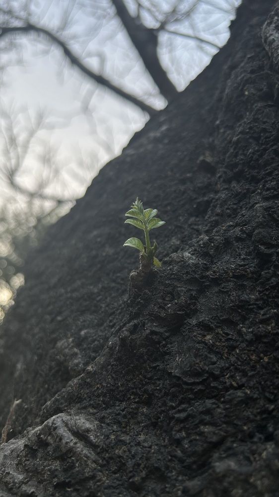 Photograph by Erick Velásquez