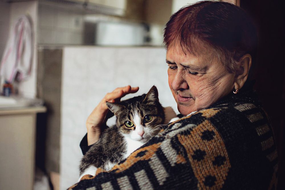 Photograph by Елена Ефимова