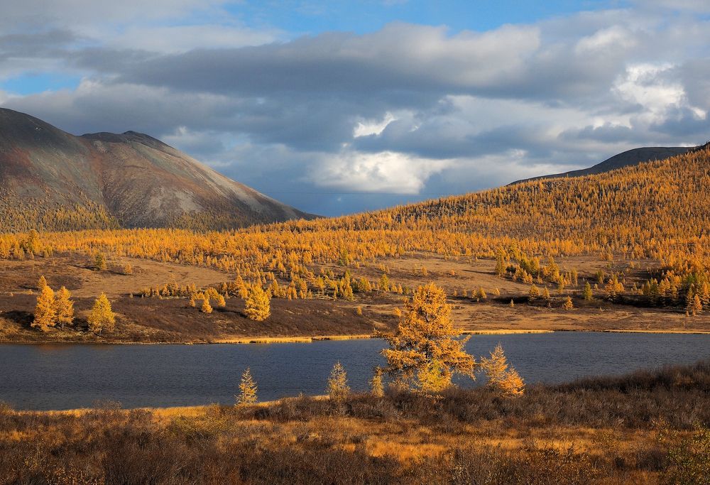 Photograph by Александр Попов