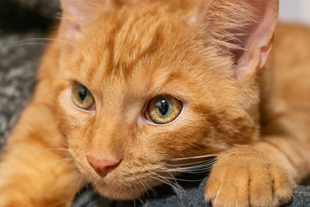 Photograph by Валентина Найдюк