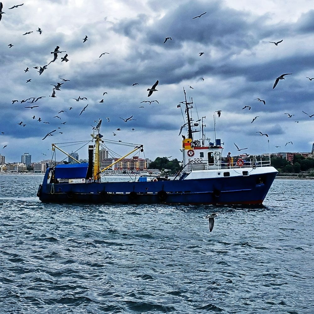 Photograph by Root Dariia