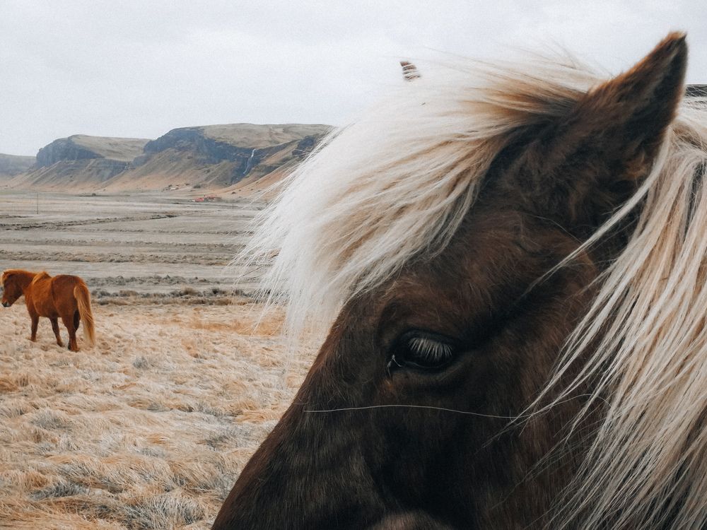 Photograph by Angela