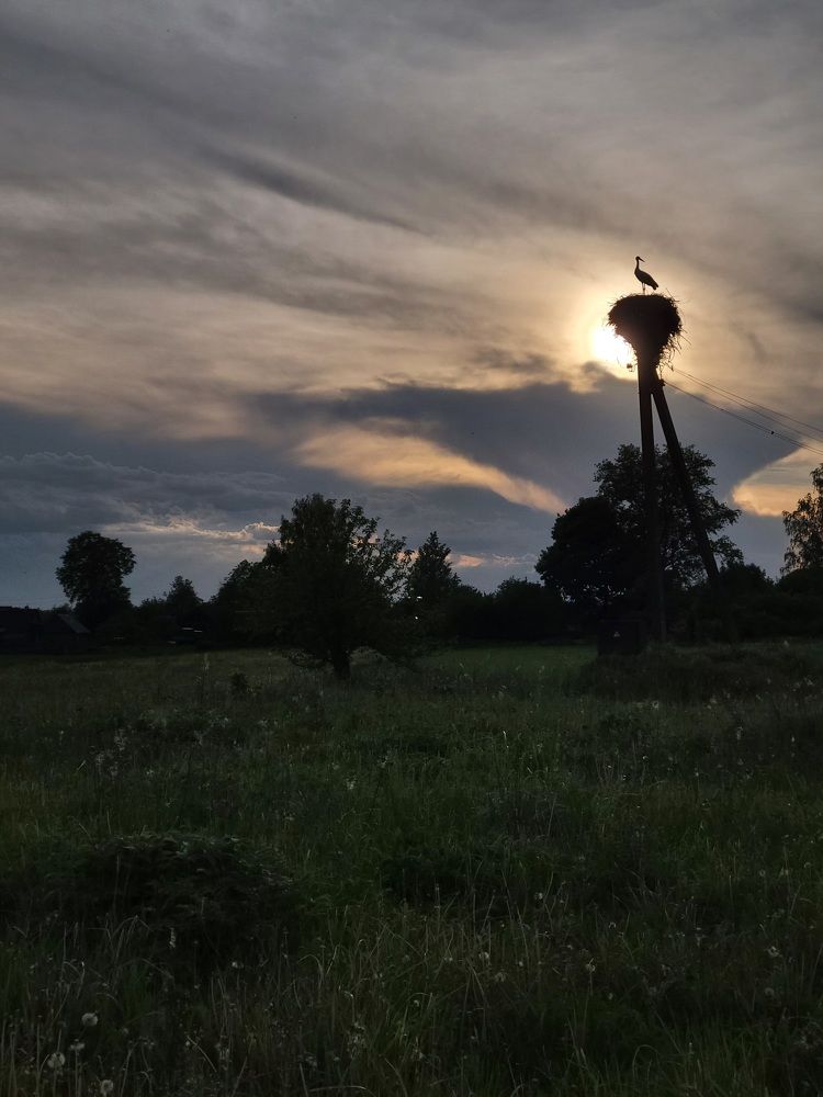 Photograph by Алина