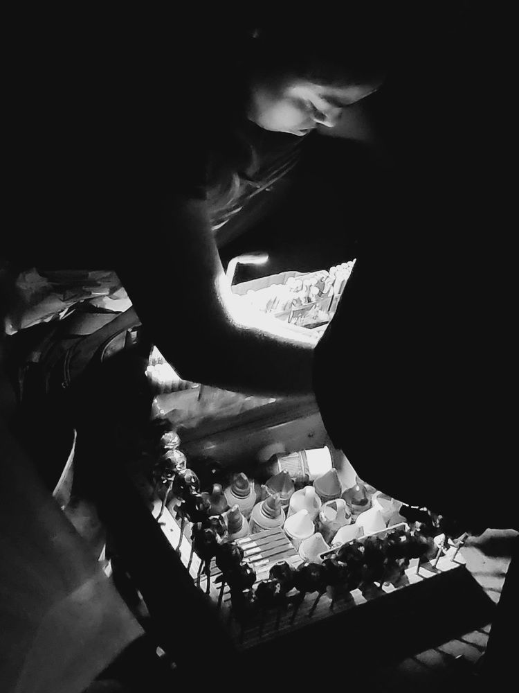 Photograph by Cesar Torres