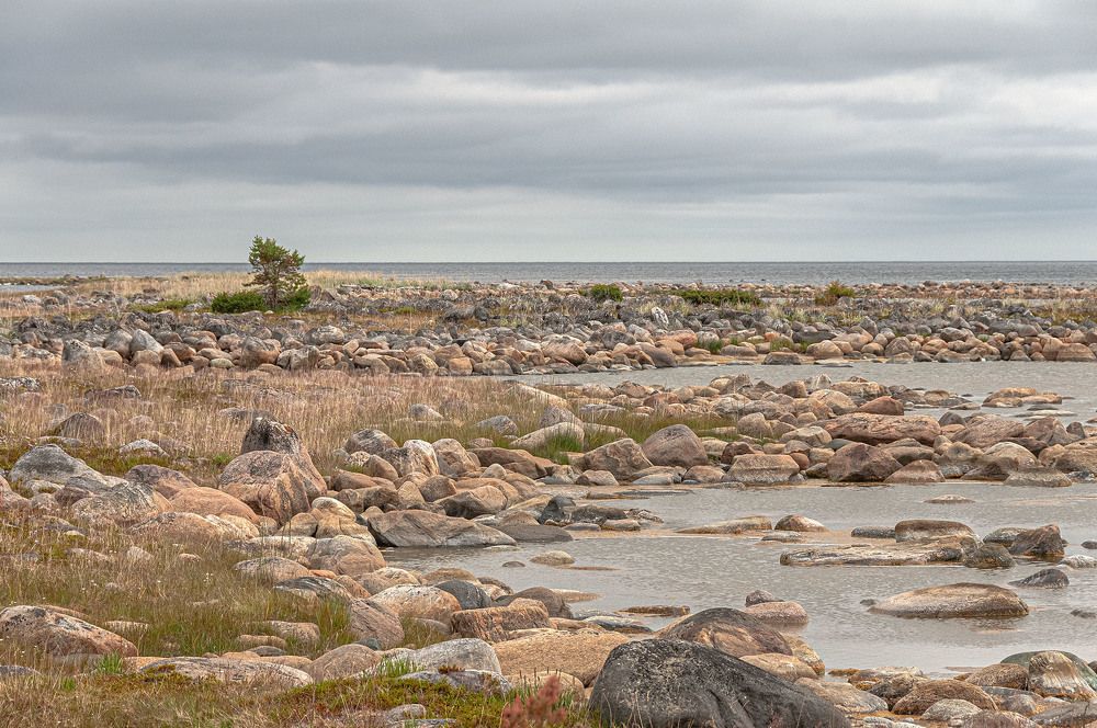 Photograph by Vladimir  Komarov