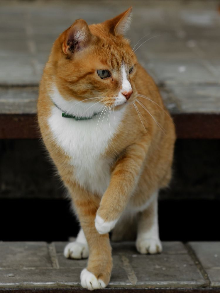 Photograph by Юркин Егор