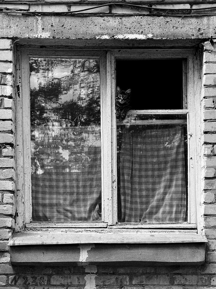 Photograph by Виктория Максюта