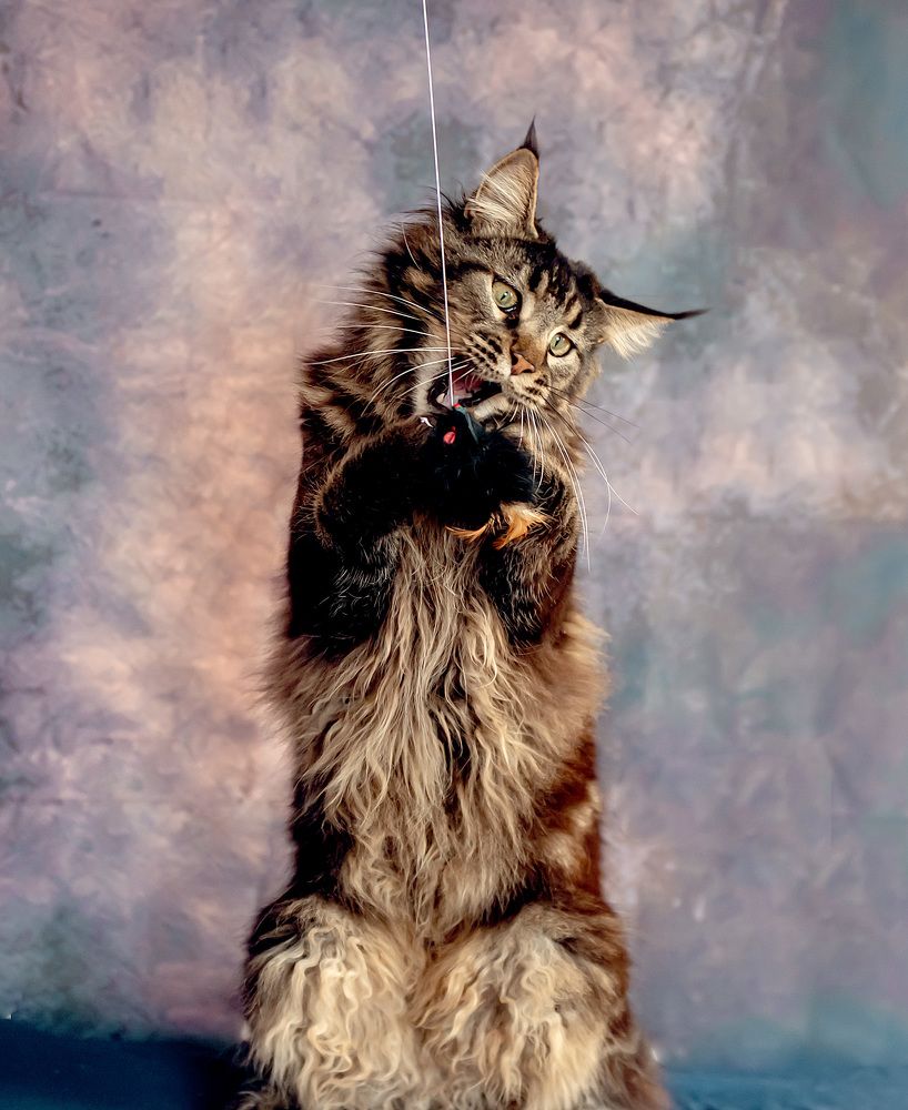 Photograph by Милана Бабченко