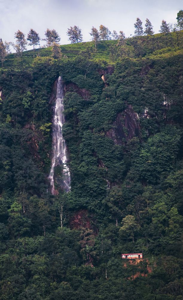 Photograph by Jagath Kumara