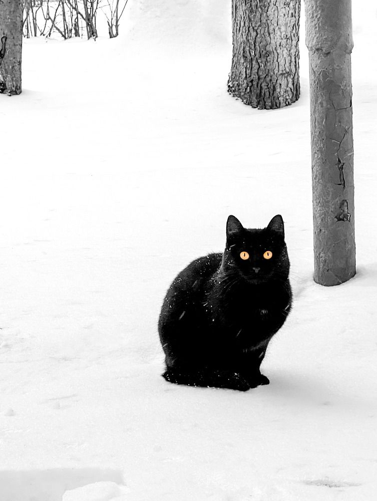 Photograph by Виктория Максюта