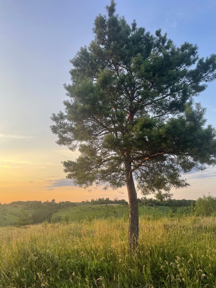 Photograph by Nataliia Nedelina