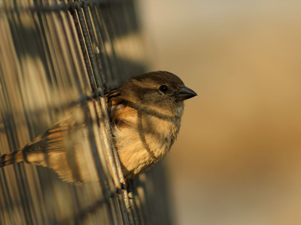 Photograph by Юркин Егор