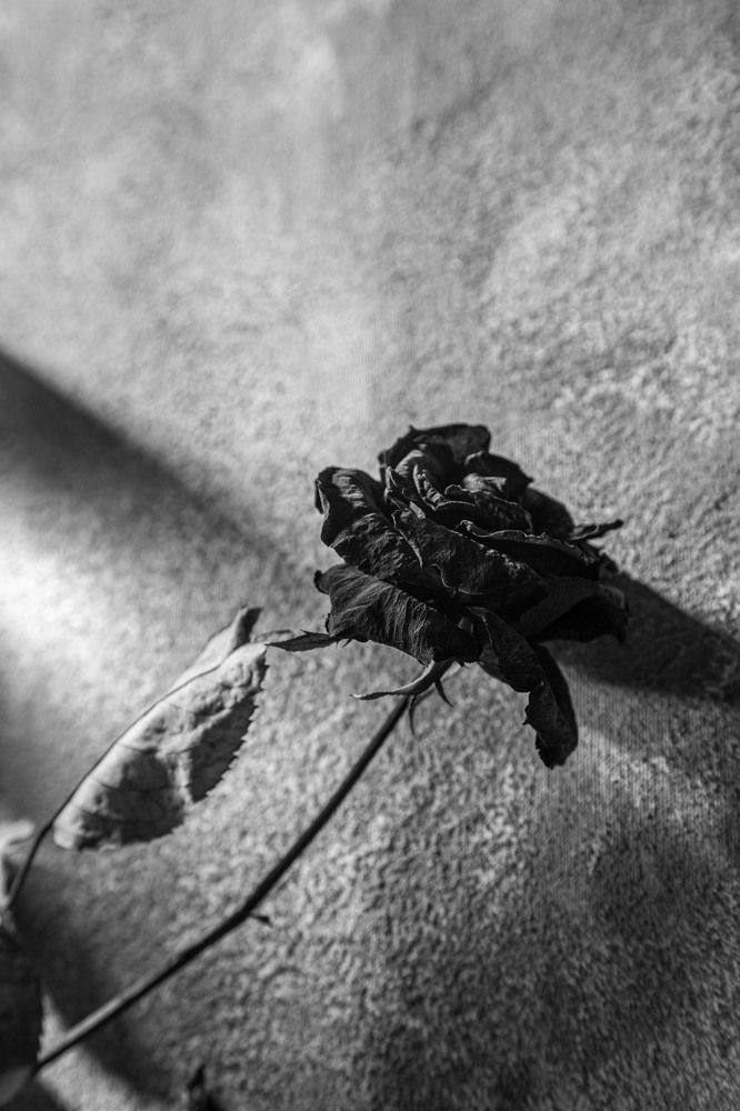 Photograph by Nube Groppa