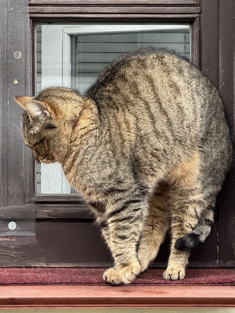 Photograph by Ольга Томашевич