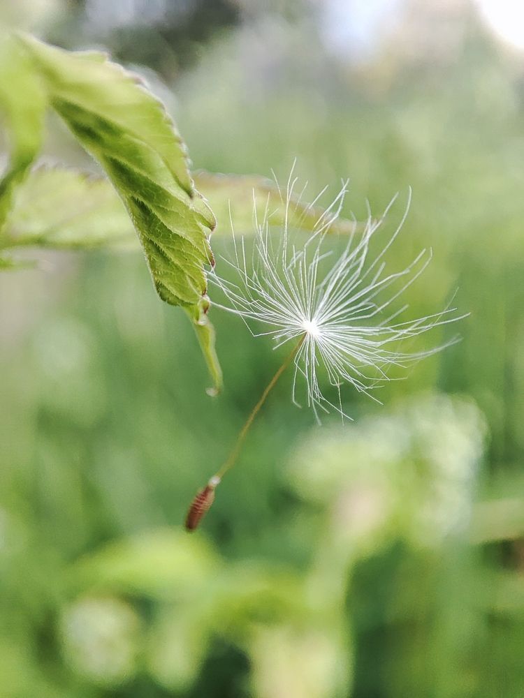 Photograph by Марина