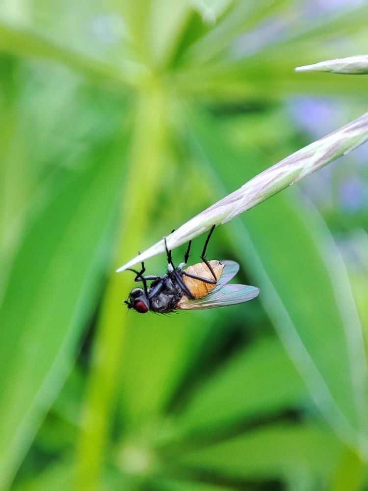 Photograph by Марина