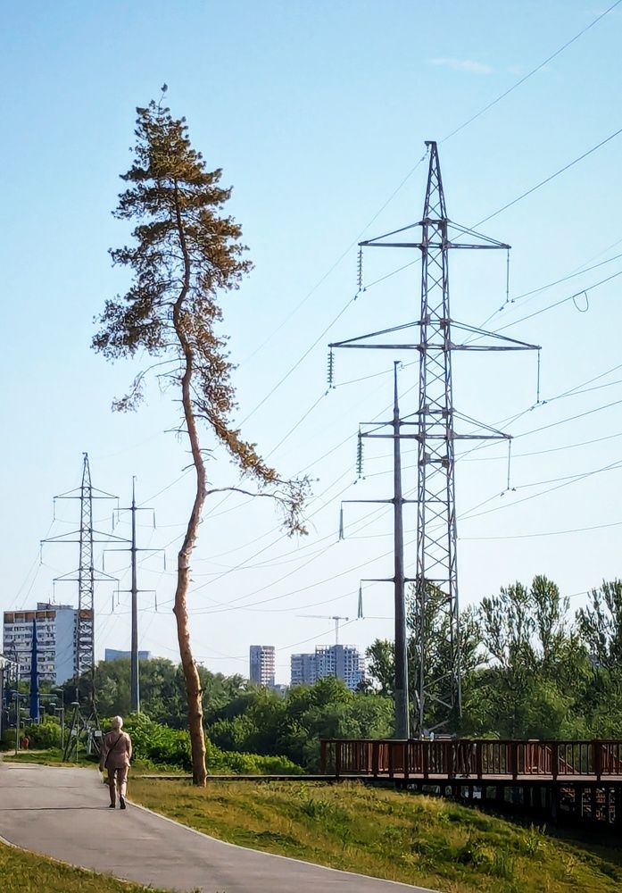 Photograph by Алексей Худяков