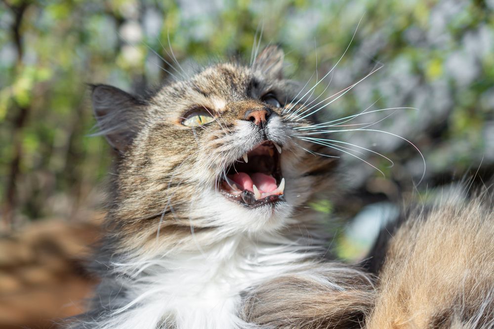 Photograph by Максим Жухлистов