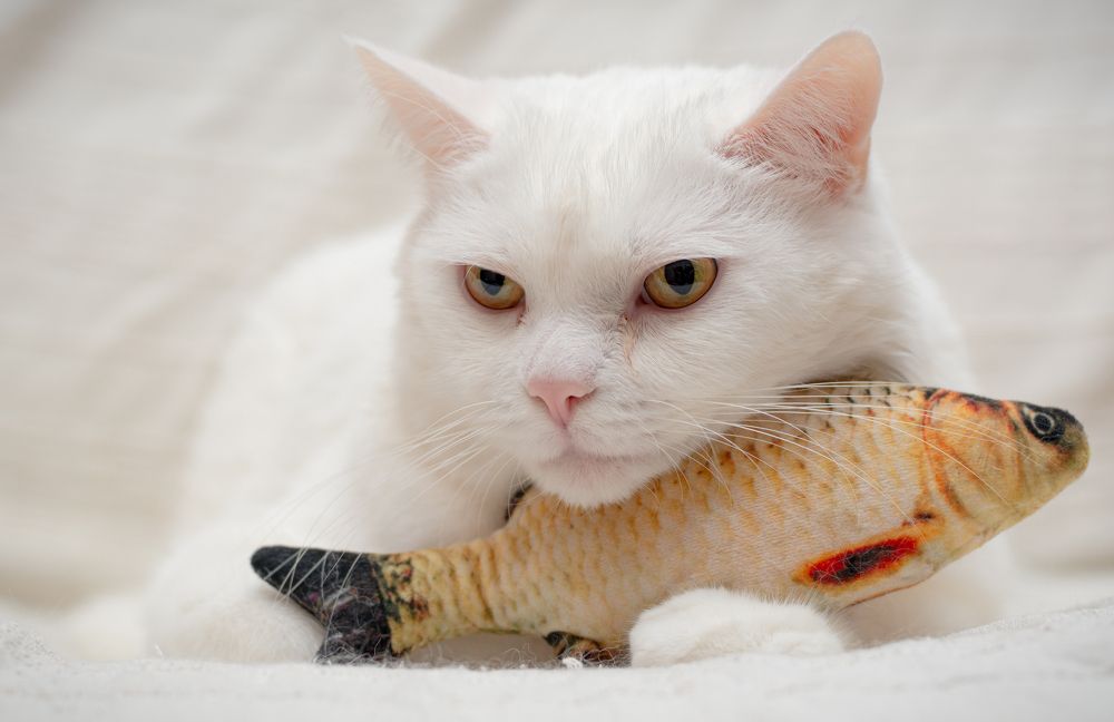 Photograph by Максим Жухлистов