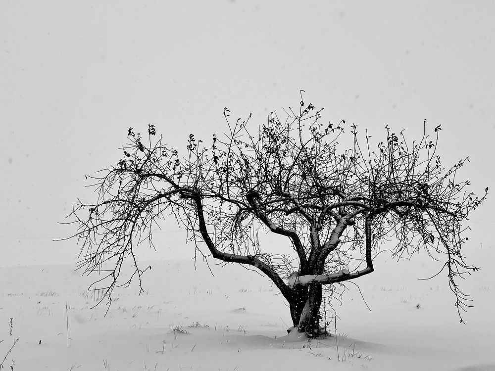 Photograph by Ольга Томашевич