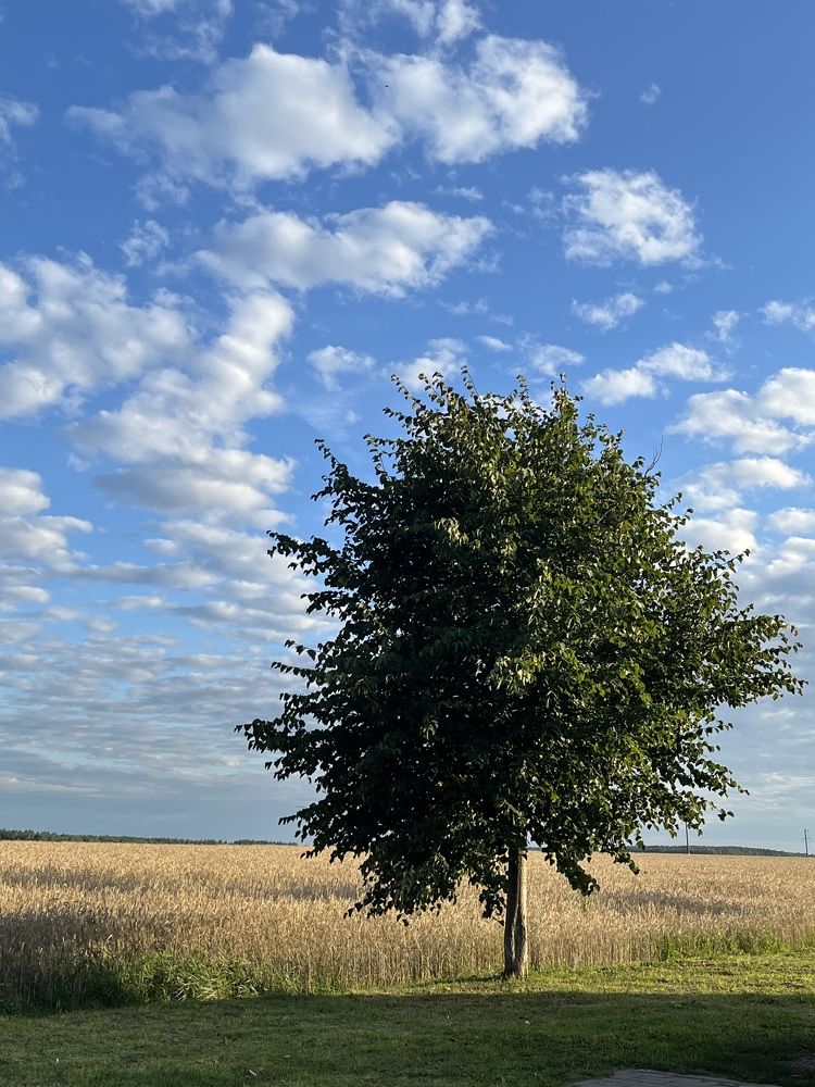 Photograph by Ольга Томашевич