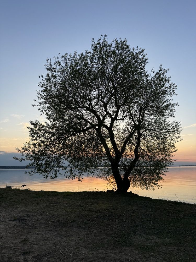 Photograph by Ольга Томашевич