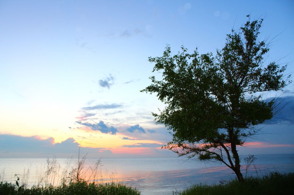 Photograph by Наталья Никитенко