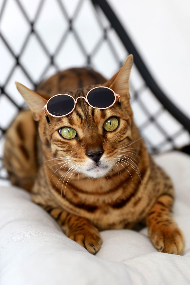 Photograph by Галина Фурсова