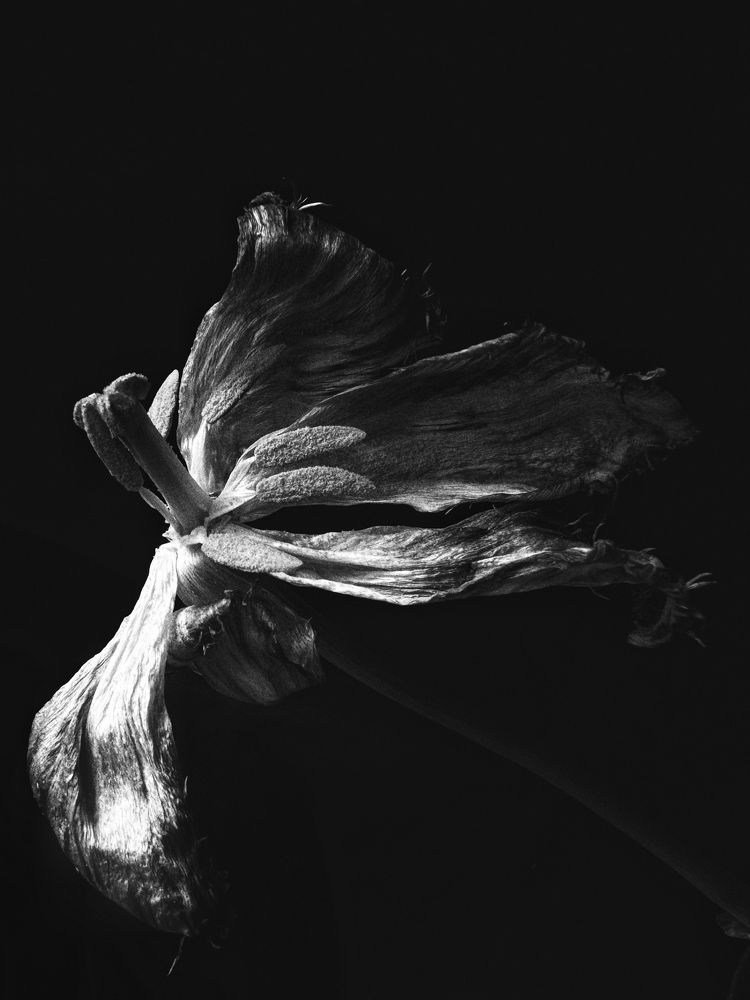 Photograph by Ольга Томашевич