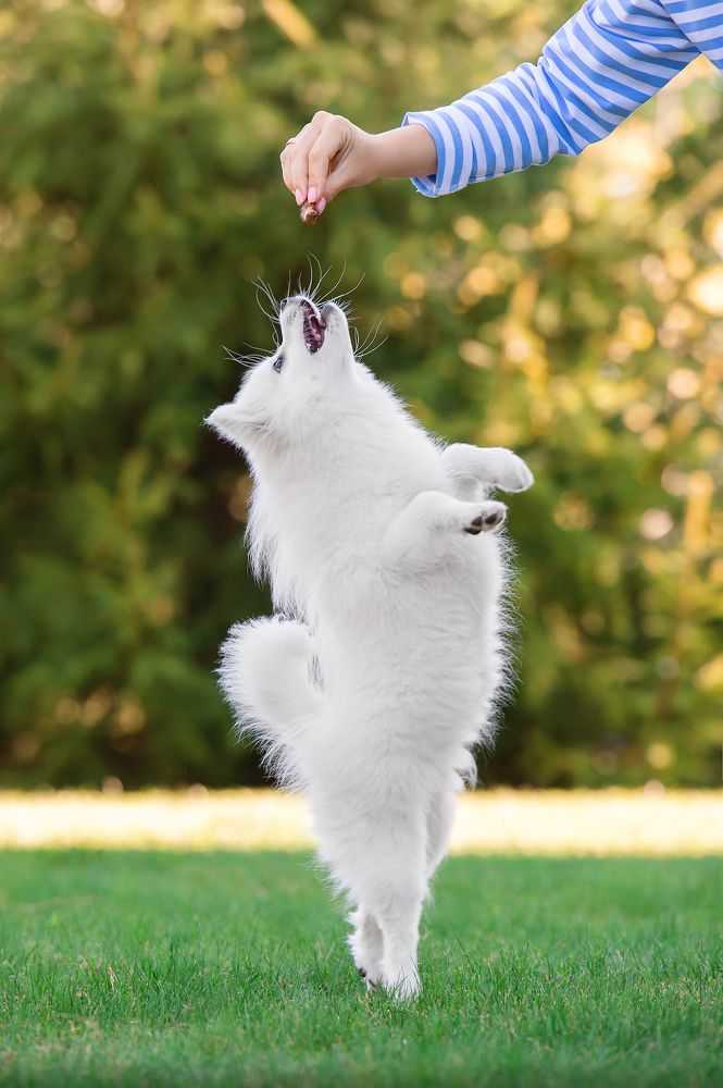 Photograph by Олег Гаричкин