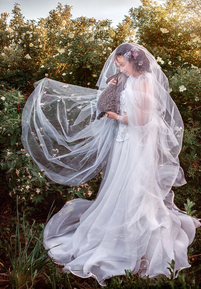 Photograph by Мария Луцук