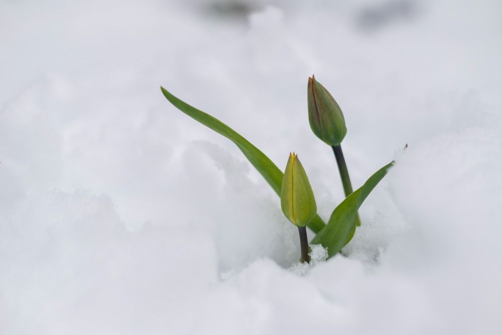 Photograph by Юлия Козельских