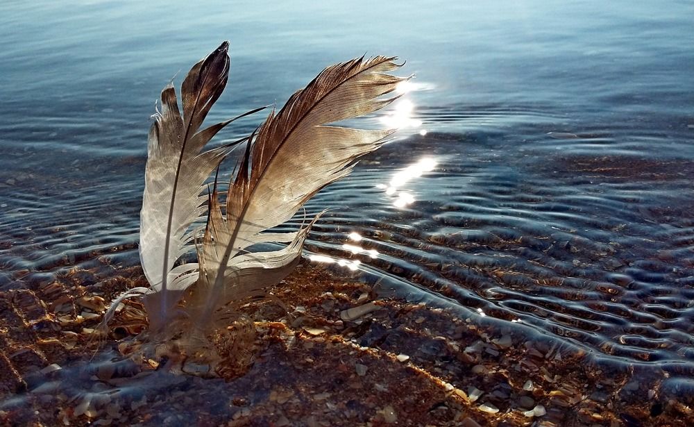 Photograph by Наталья Дубовкина