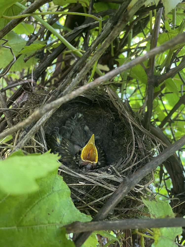 Photograph by Nataliia Nedelina