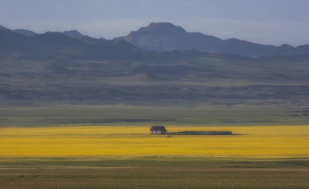 Photograph by Светлана Краюшкина