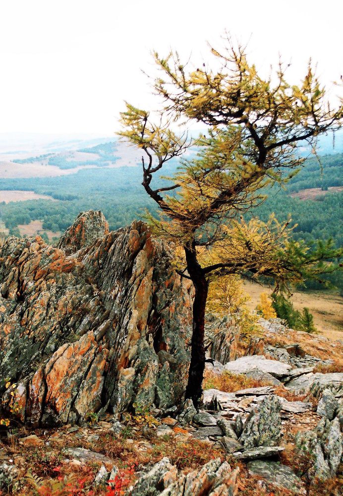 Photograph by Фарит Зиатдинов