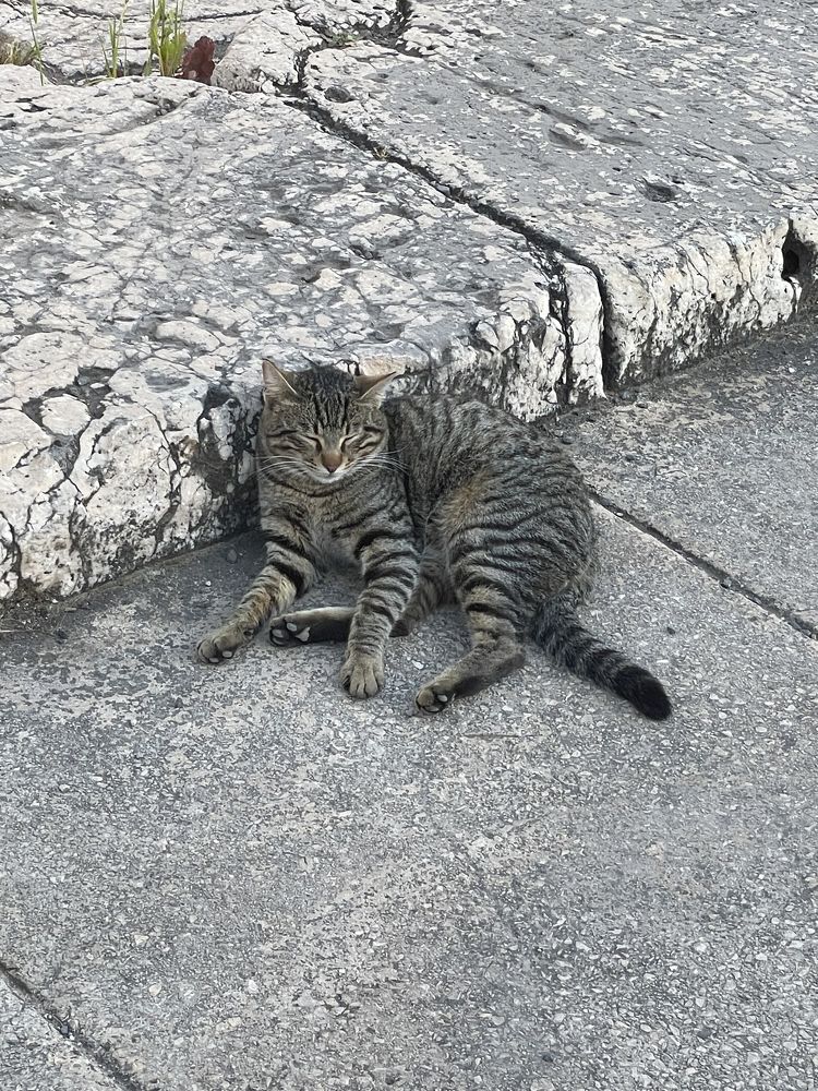 Photograph by Nataliia Nedelina