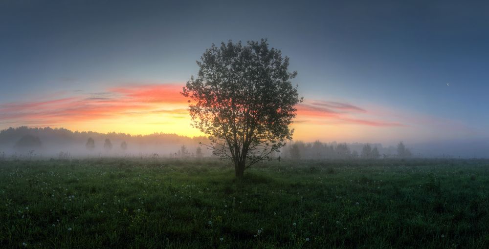 Photograph by Александр Бархатов