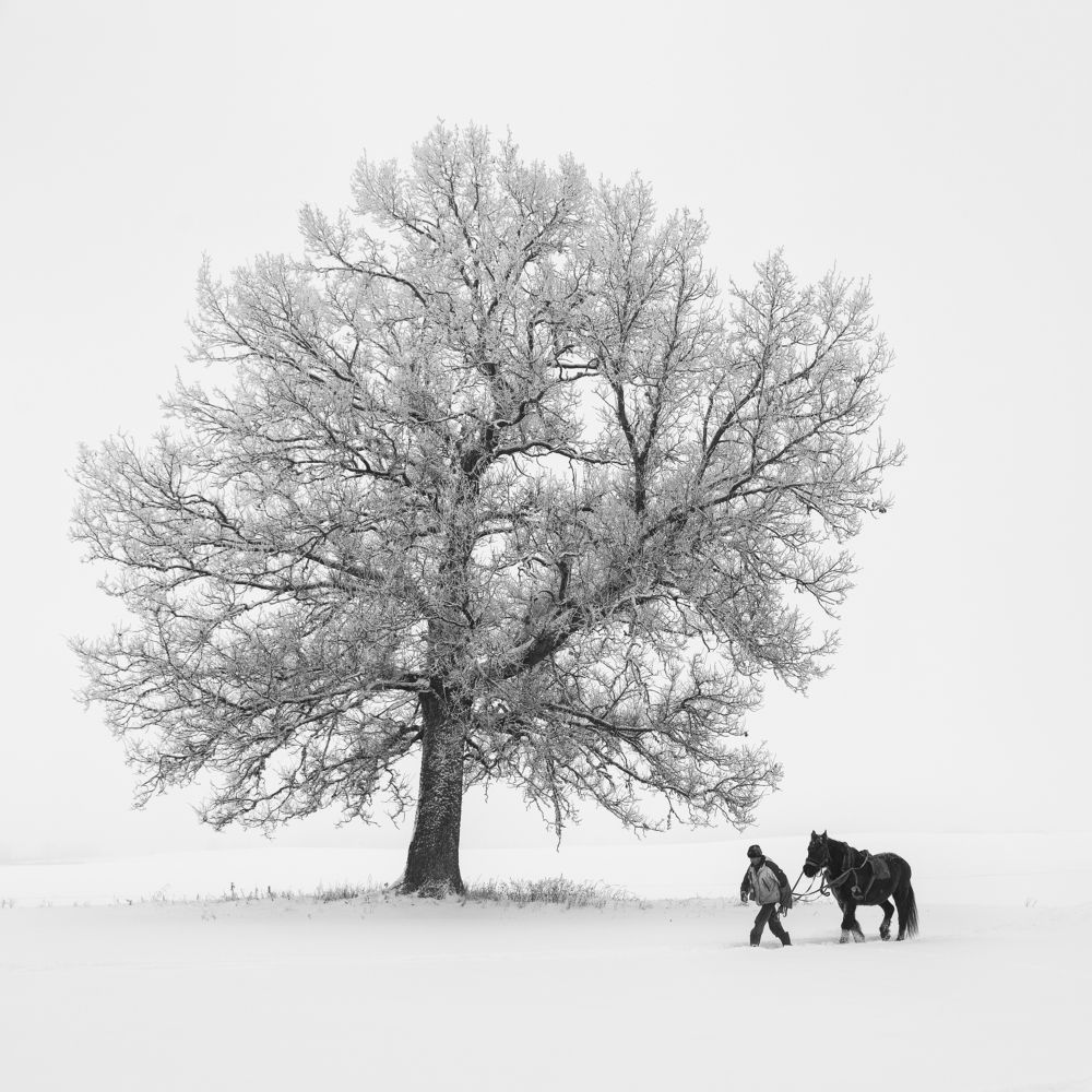 Photograph by Ivars Skudra