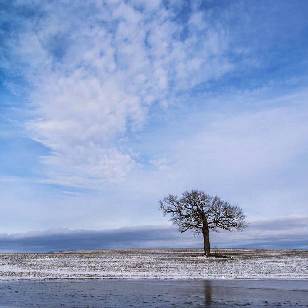 Photograph by Ivars Skudra