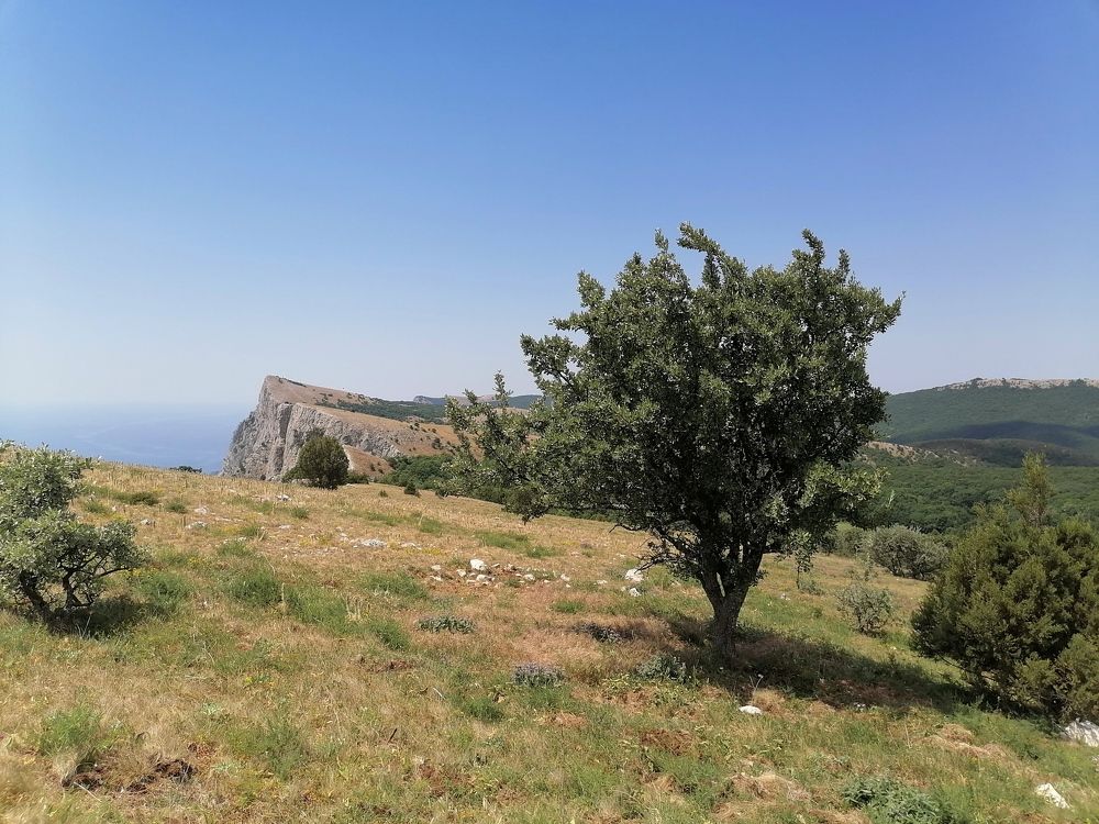 Photograph by Константин