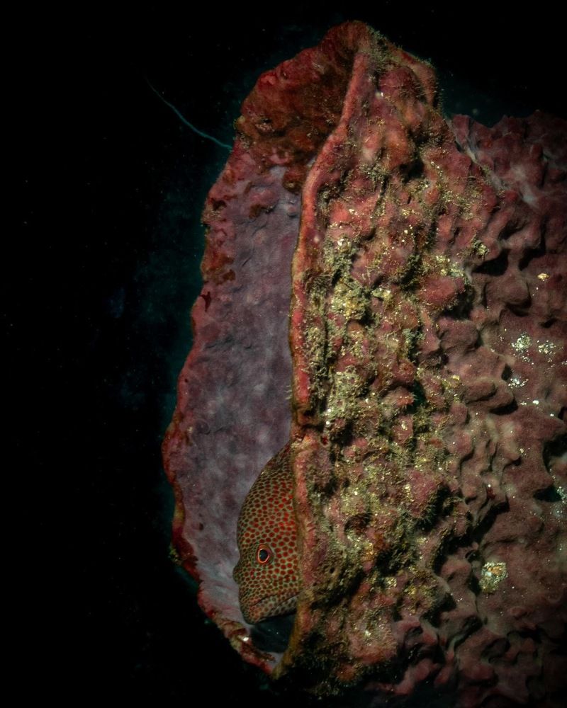 Photograph by Leidy Alvarez