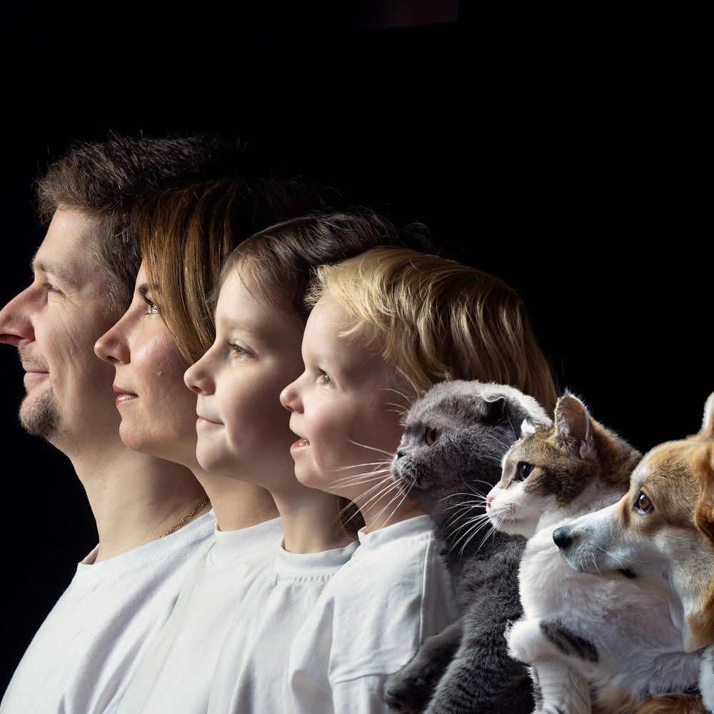 Photograph by Алена Горшкова