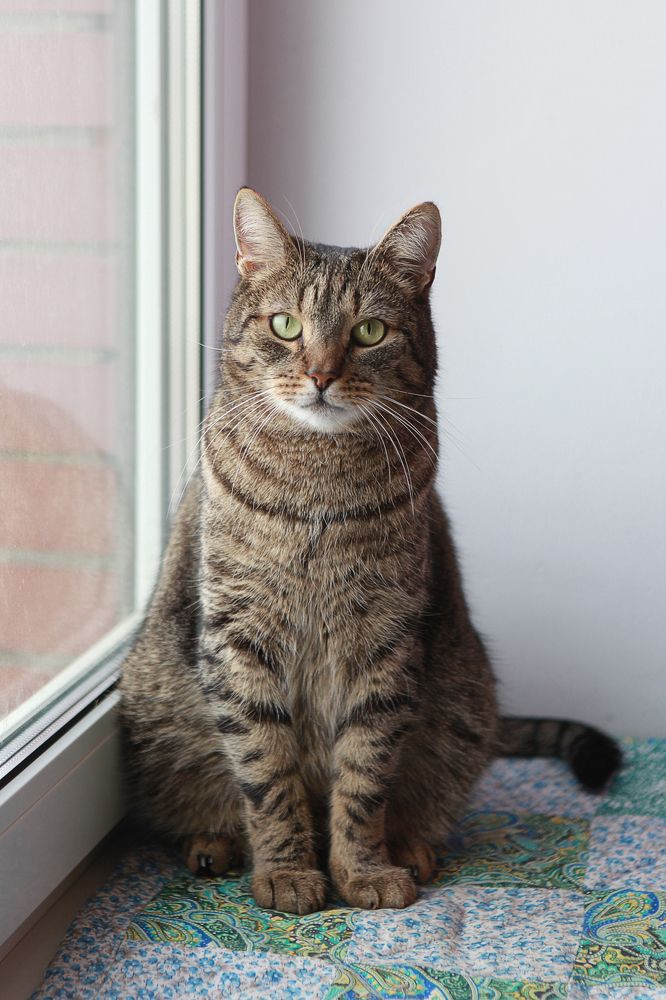 Photograph by Екатерина Кузнецова