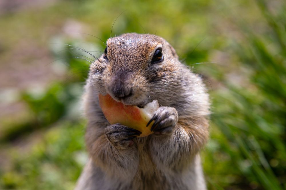 Photograph by Татьяна Скворцова