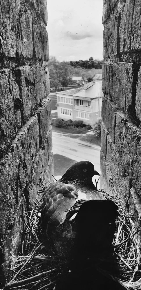 Photograph by Луценко Роман